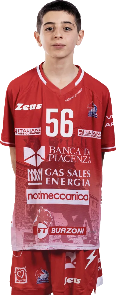Badini